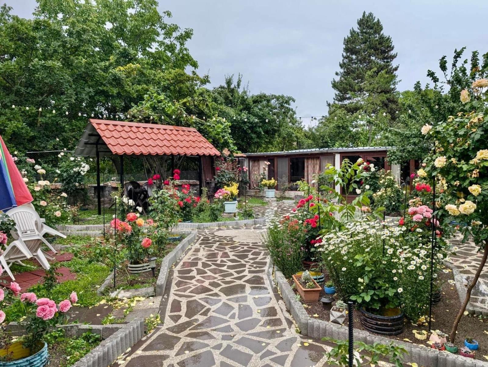 מלון Tetritskaro Artist'S House מראה חיצוני תמונה